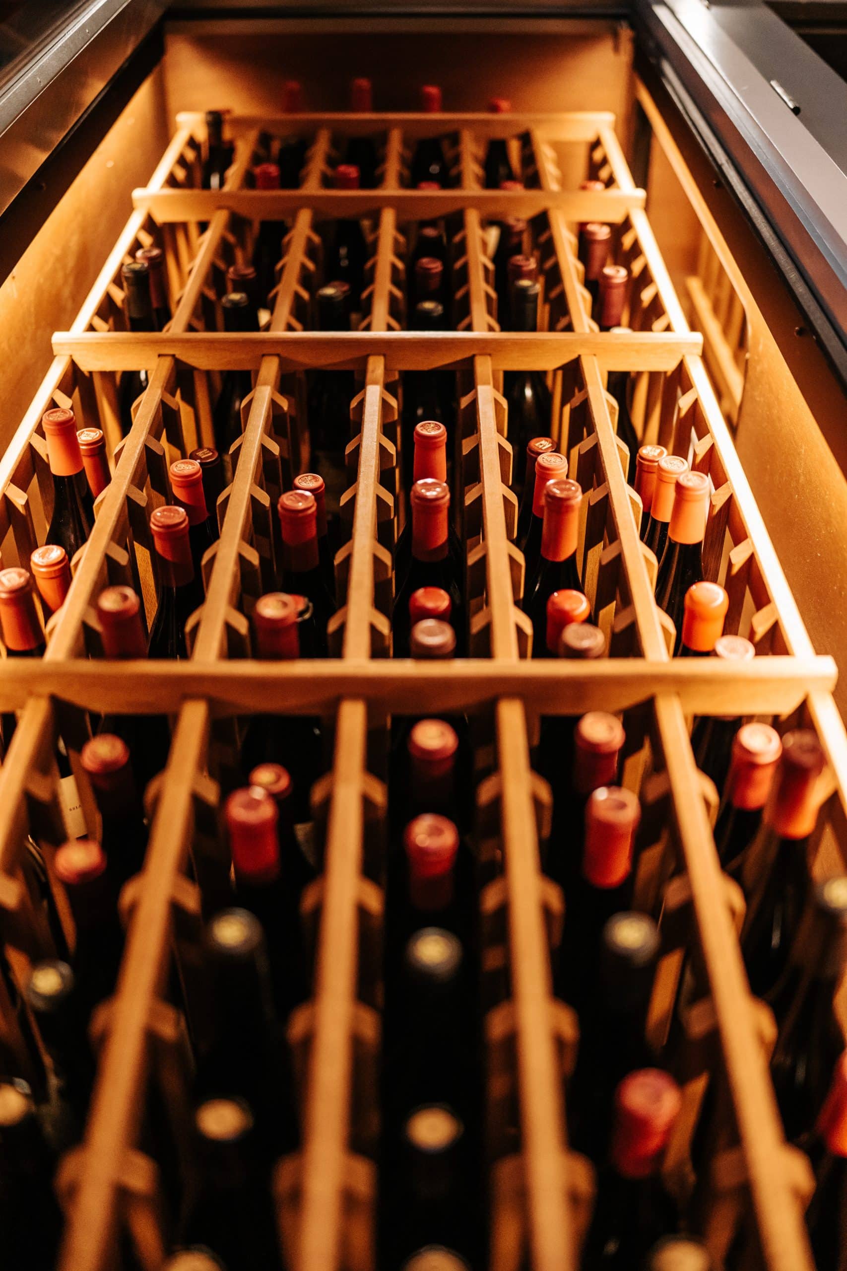 PRINCIPAL, le futur vin icône du Portugal ? | Cafa Formations