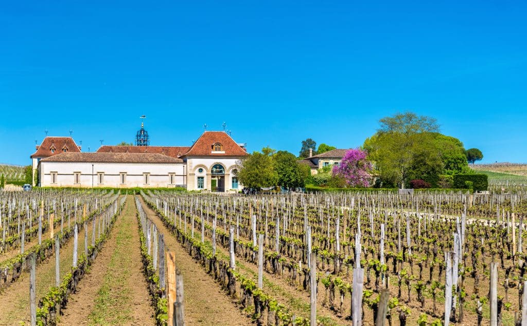 chateau angelus saint emilion
