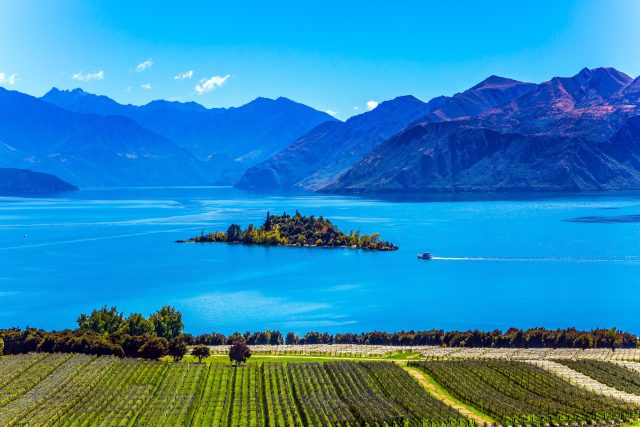 nz wine 640x427