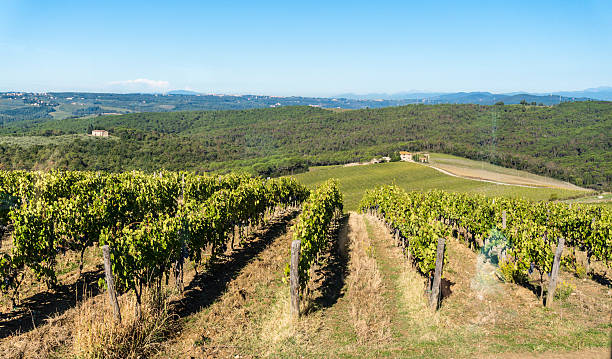 breathtaking scenery in tuscaney