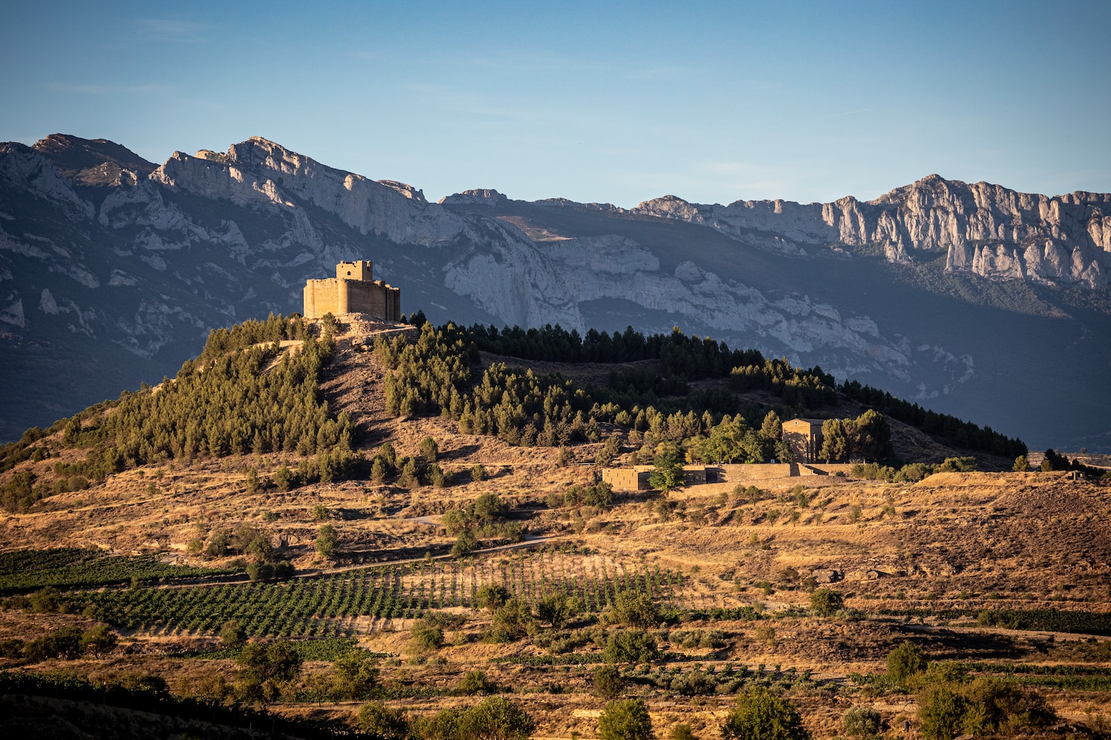 La RIOJA fête son centenaire | Cafa Formations