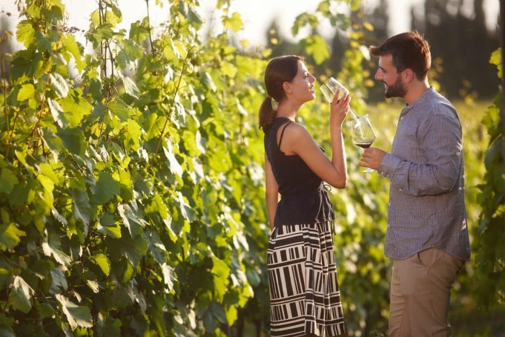 Touristes découvrant un vignoble français lors d’une visite œnotouristique