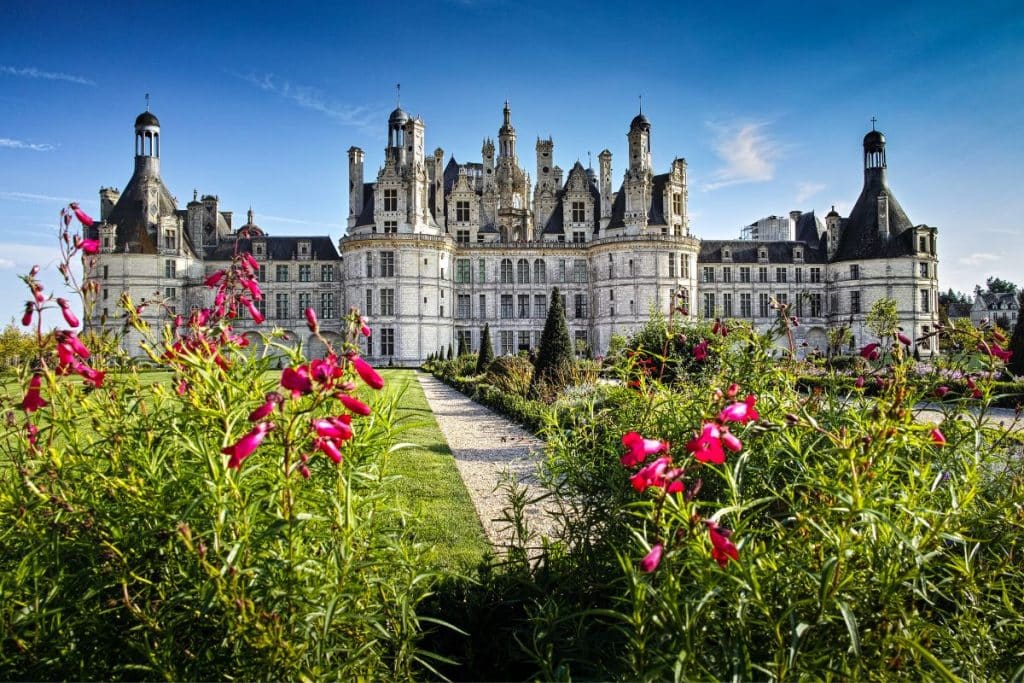 Le Château de Chambord cultive 6 hectares de vignes pour produire ses propres vins