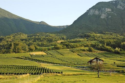 La viticulture héroïque de montagne
