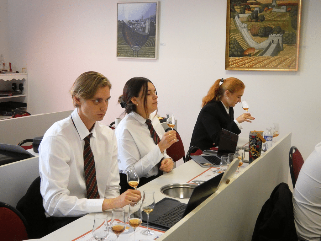 design sans titre (1)