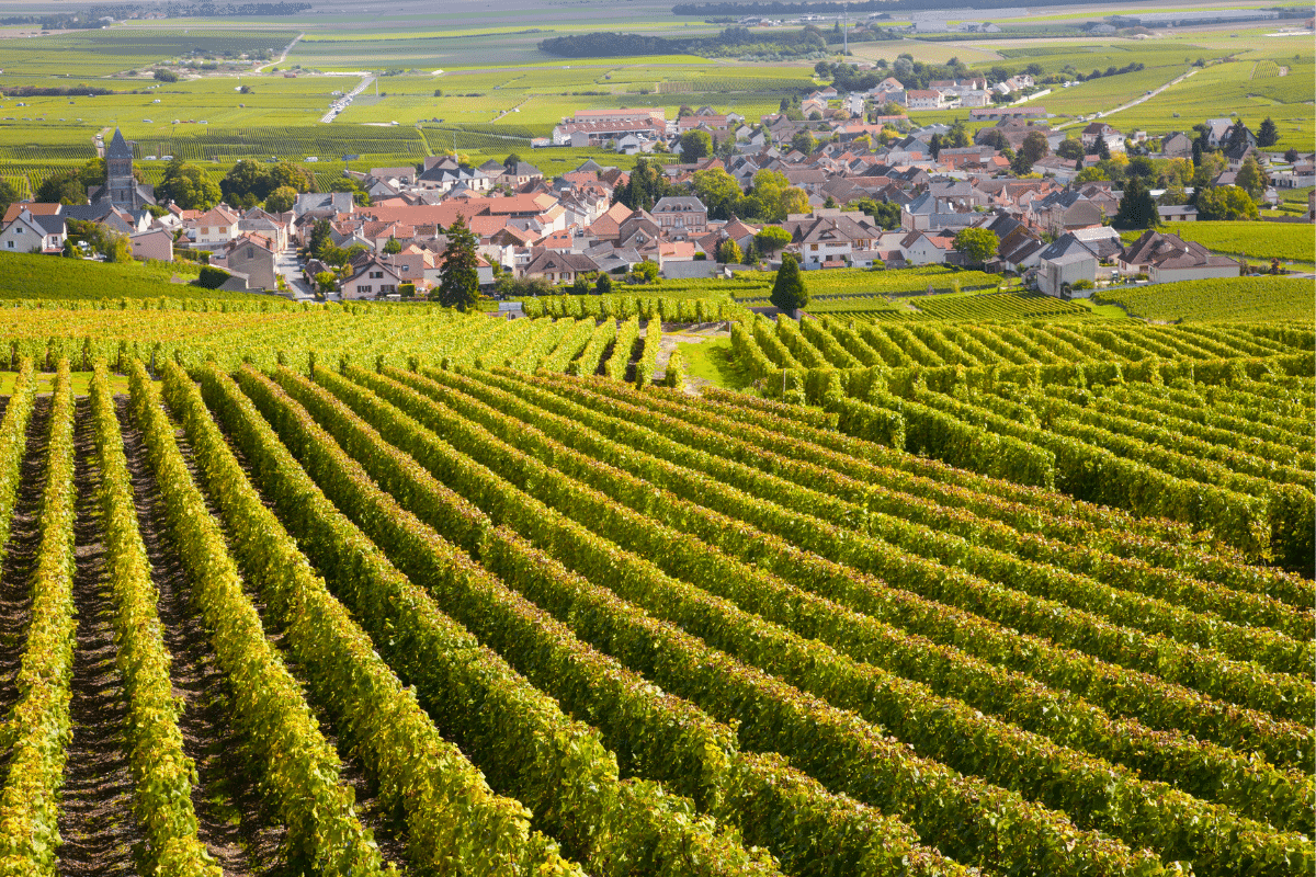 photo articles wordpress (53)