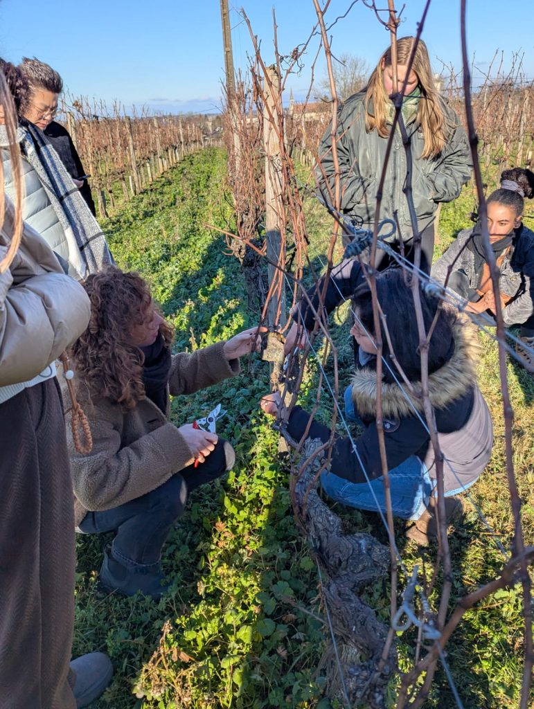 whatsapp image 2026 01 06 at 14.58.21