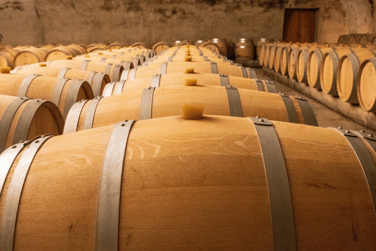 photo articles wordpress 2026 03 18t151821.335