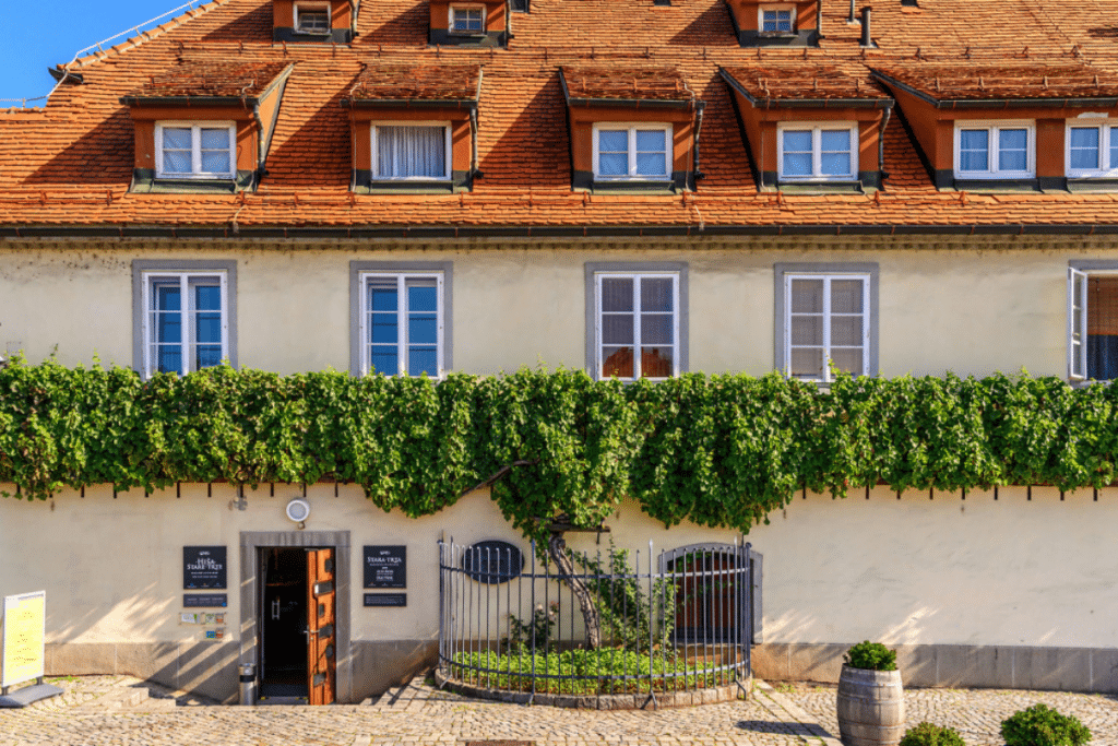 photo articles wordpress 2026 03 24t100426.701