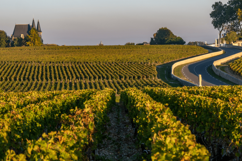 photo articles wordpress 2026 03 26t120336.882