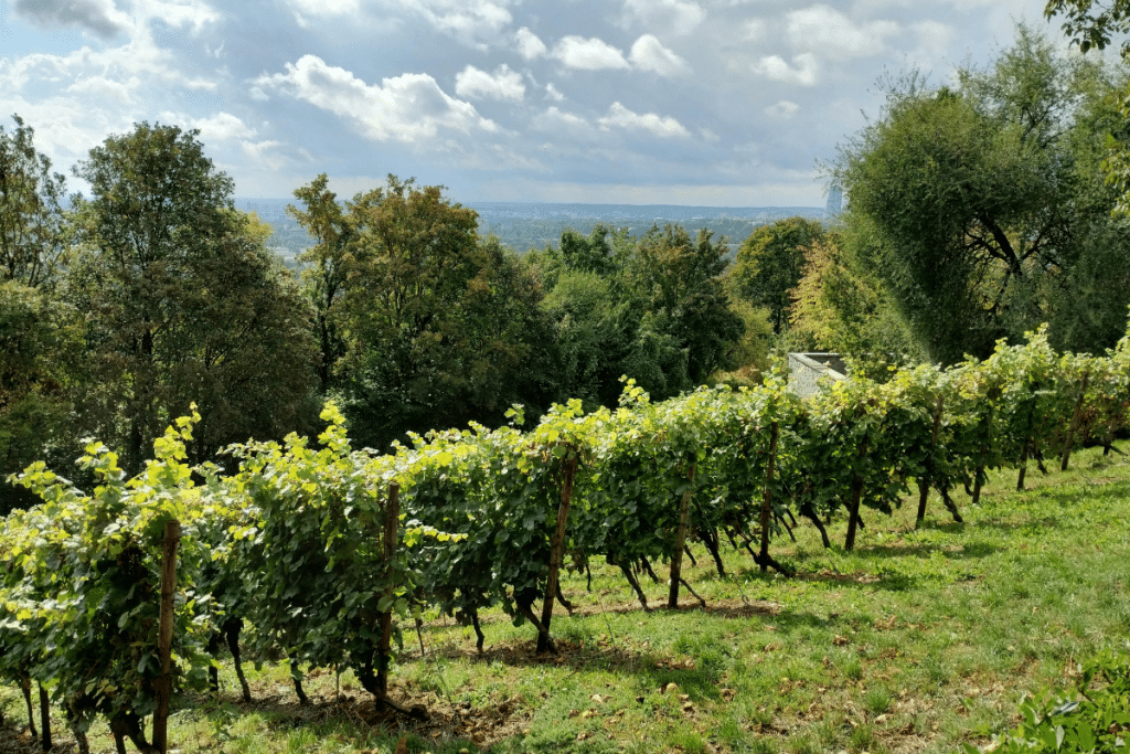 photo articles wordpress 2026 04 03t092414.107