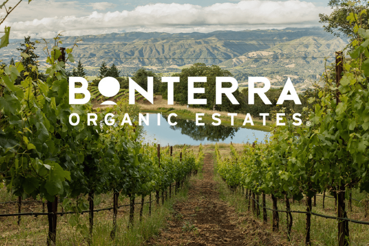 photo articles wordpress 2026 04 27t150611.551