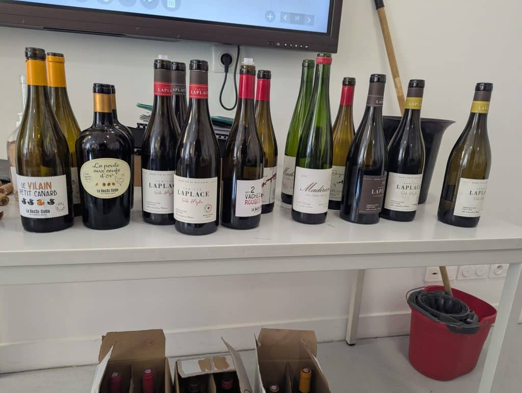 whatsapp image 2026 04 23 at 14.13.17 (1)