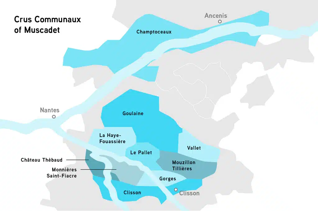muscadet crus 04 1024x1024