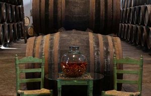 tecnovino vino naranja del condado de huelva 1
