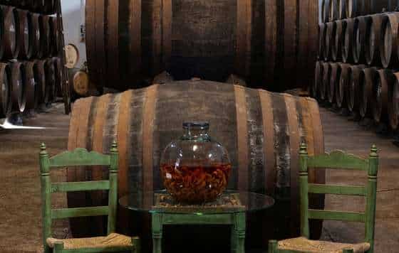tecnovino vino naranja del condado de huelva 1