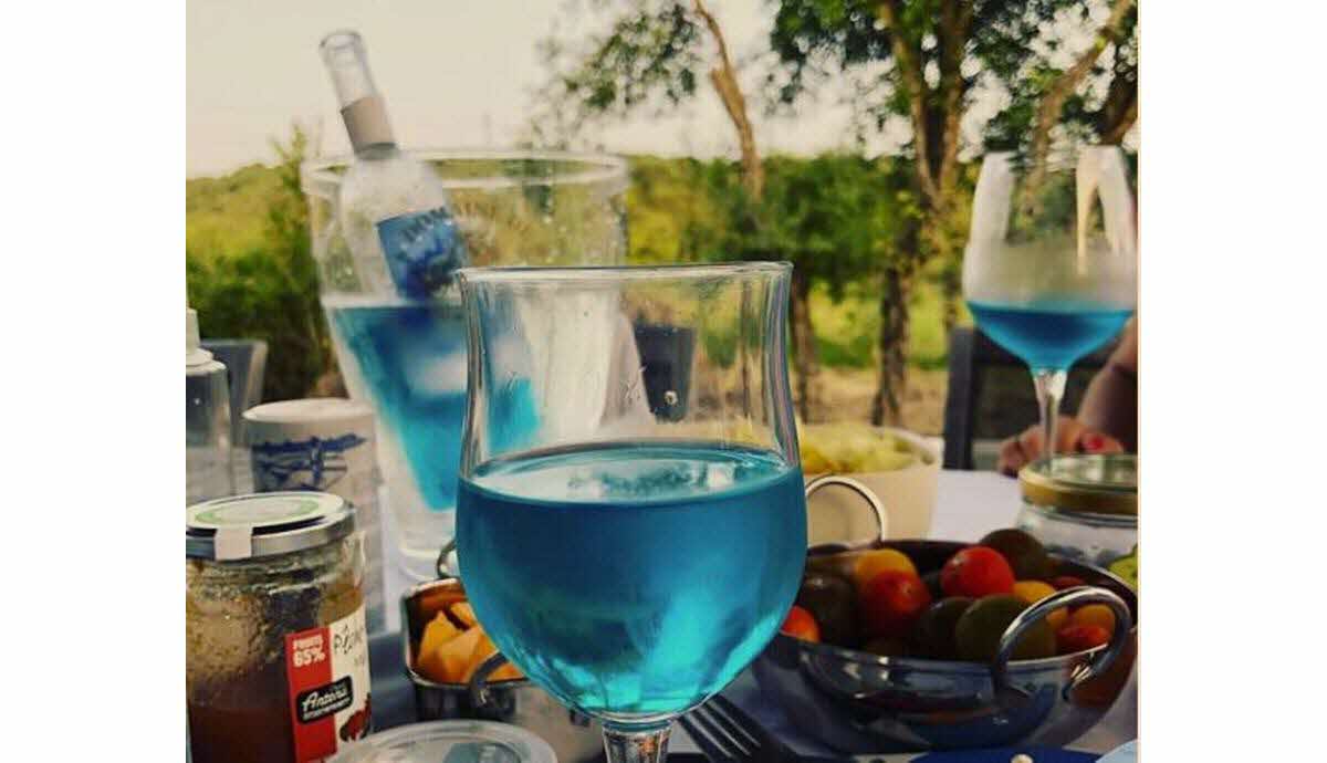 le vin bleu et naturel arrive en france 1532899931