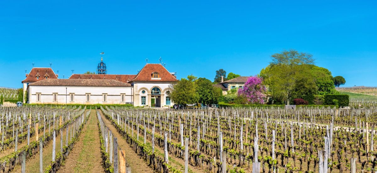 chateau angelus saint emilion