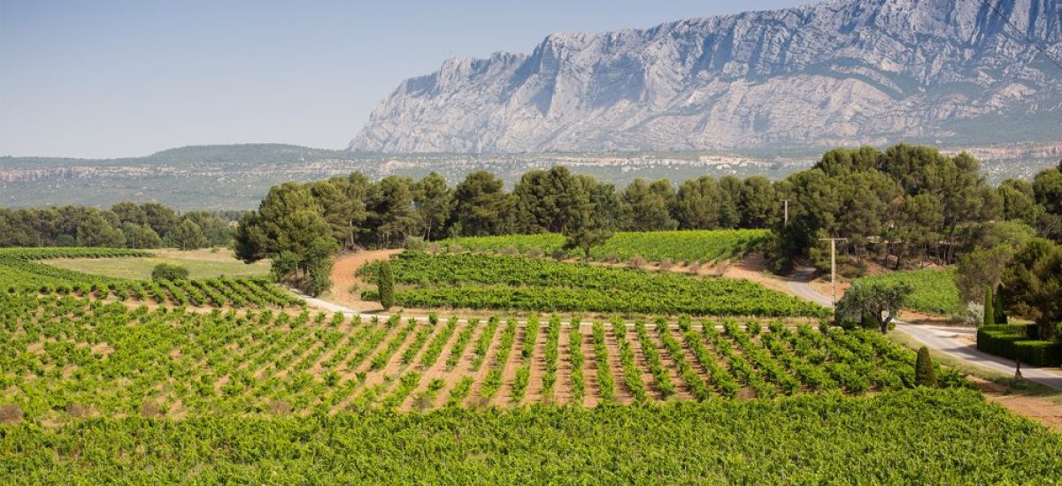 cotes de provence sainte victoire