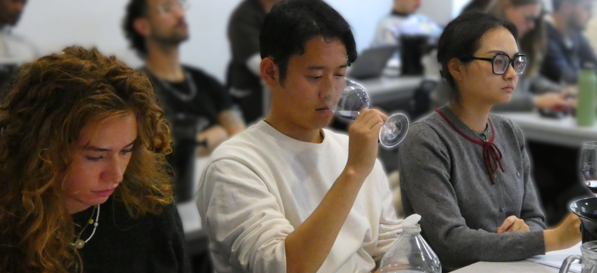 design sans titre (9)