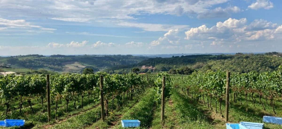 do altos pinto bandeira 920x609