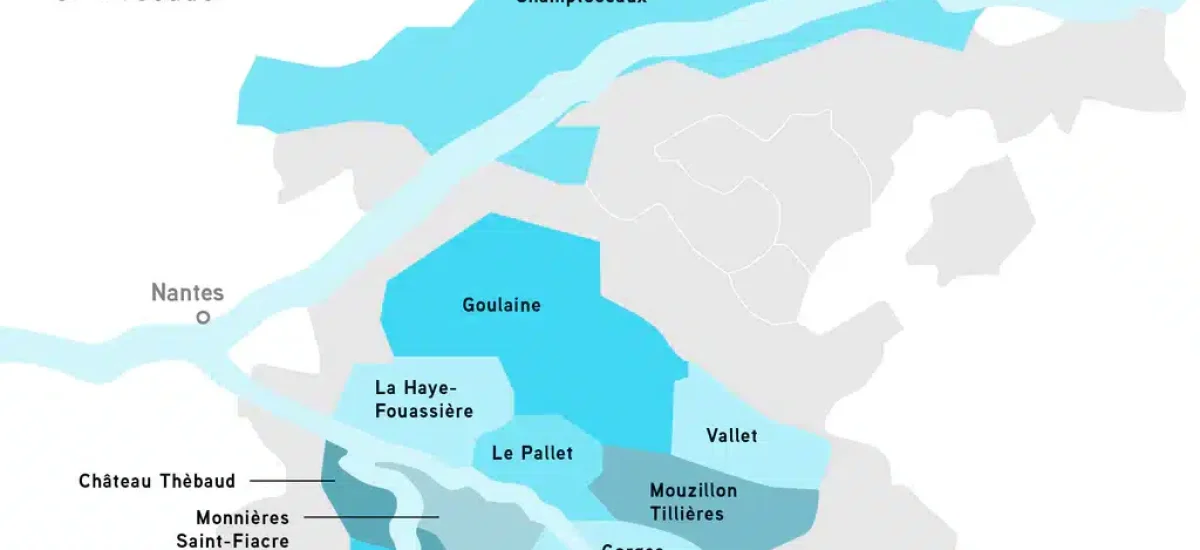 muscadet crus 04 1024x1024