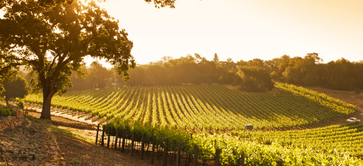 photo articles wordpress (18)