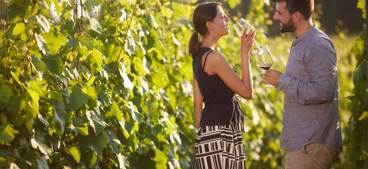 Touristes découvrant un vignoble français lors d’une visite œnotouristique