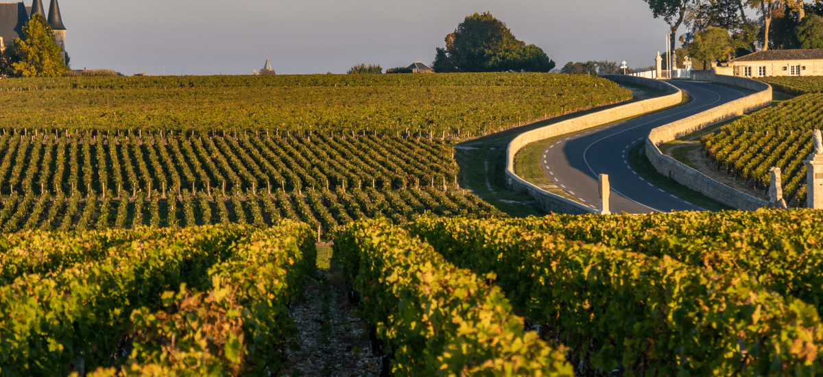 photo articles wordpress 2026 02 03t092929.634