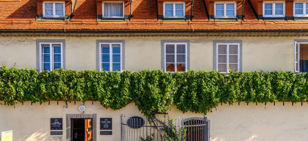 photo articles wordpress 2026 03 24t100426.701