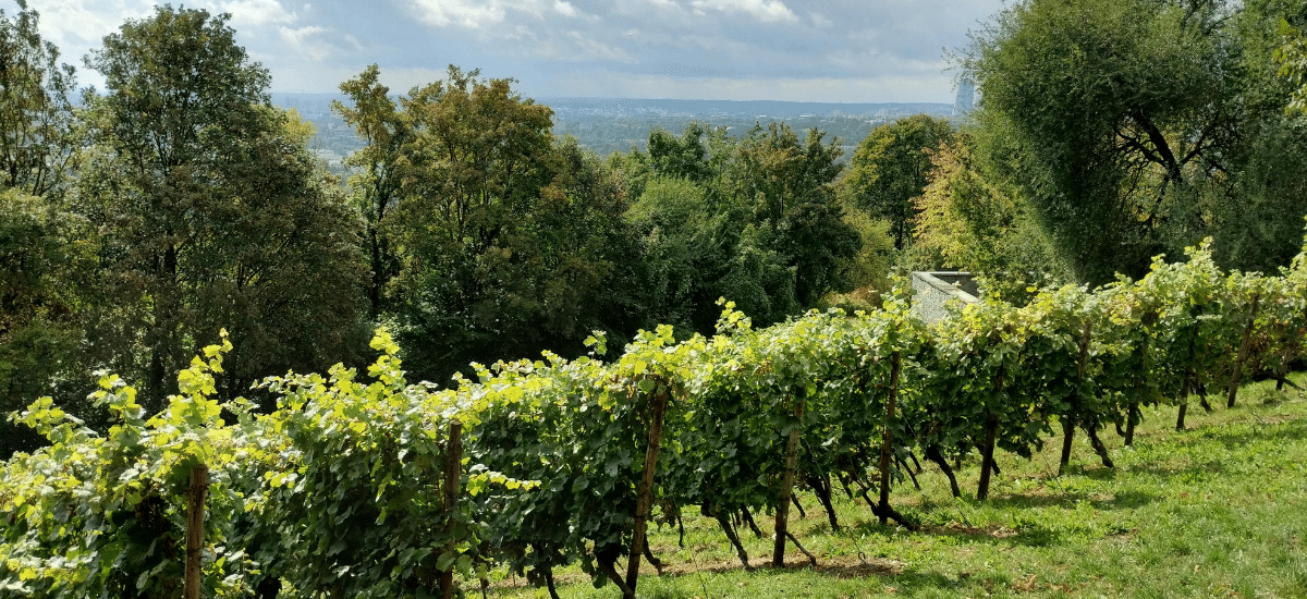 photo articles wordpress 2026 04 03t092414.107