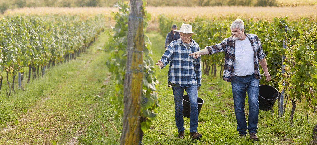 photo articles wordpress 2026 04 07t100247.575