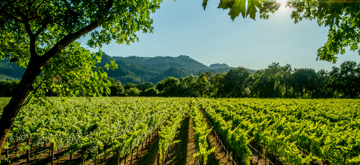 photo articles wordpress 2026 04 21t164614.537