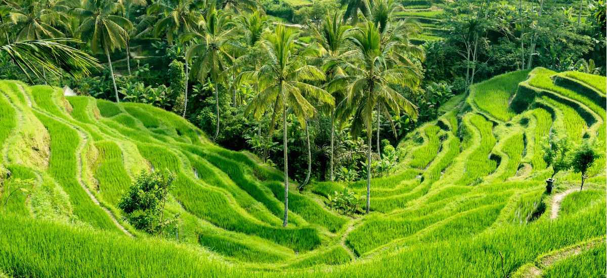 photo articles wordpress 2026 04 21t165025.485