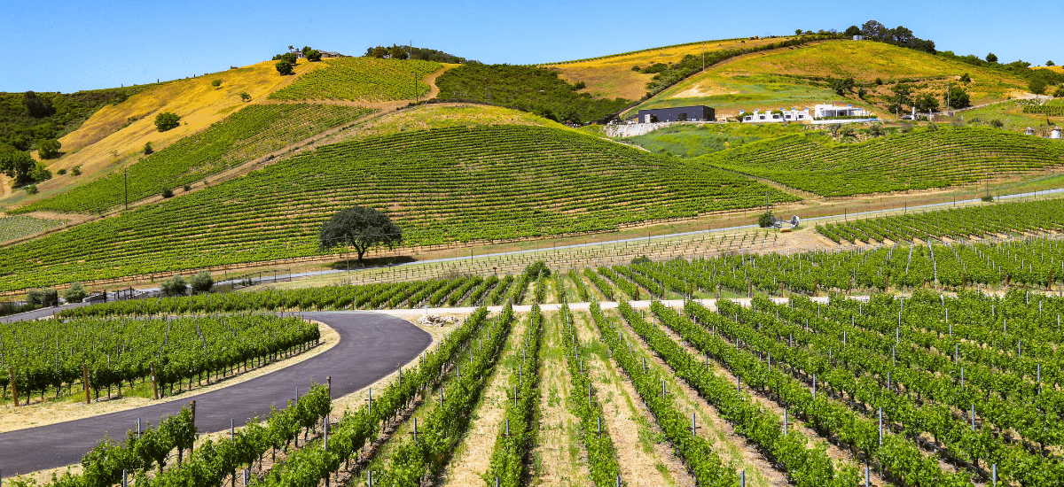 photo articles wordpress 2026 04 28t095321.361