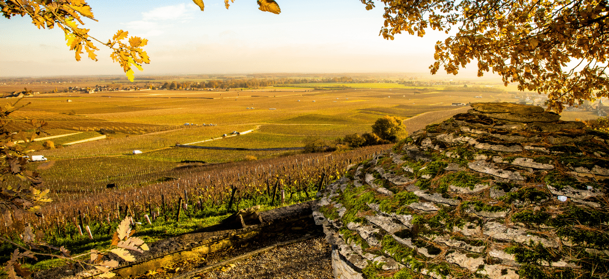 photo articles wordpress (43)