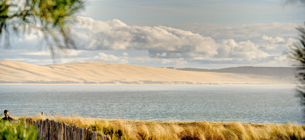 photo articles wordpress (48)