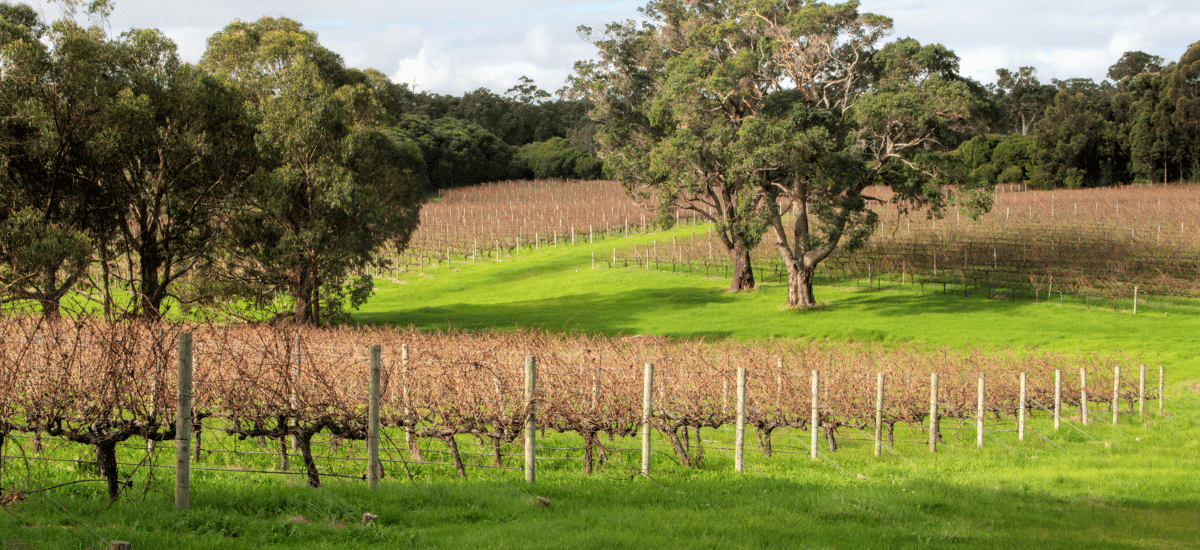 photo articles wordpress (87)