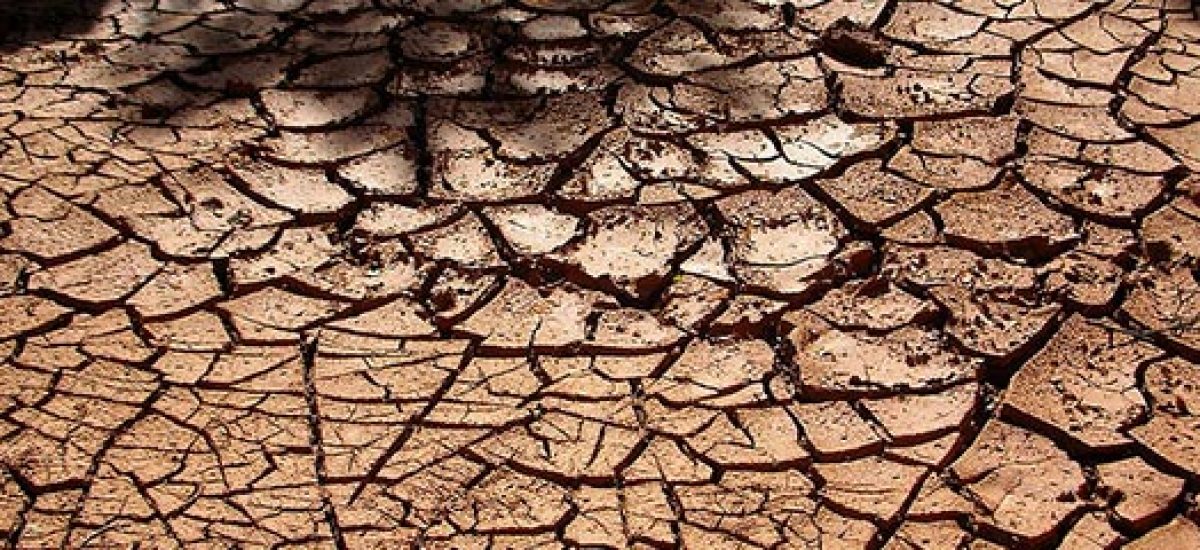 sol argileux professionnels a domicile